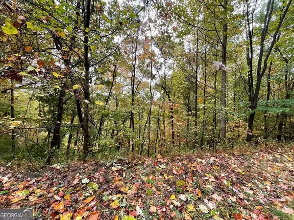 LOT 57C Indian Trail, Hayesville, NC 28904