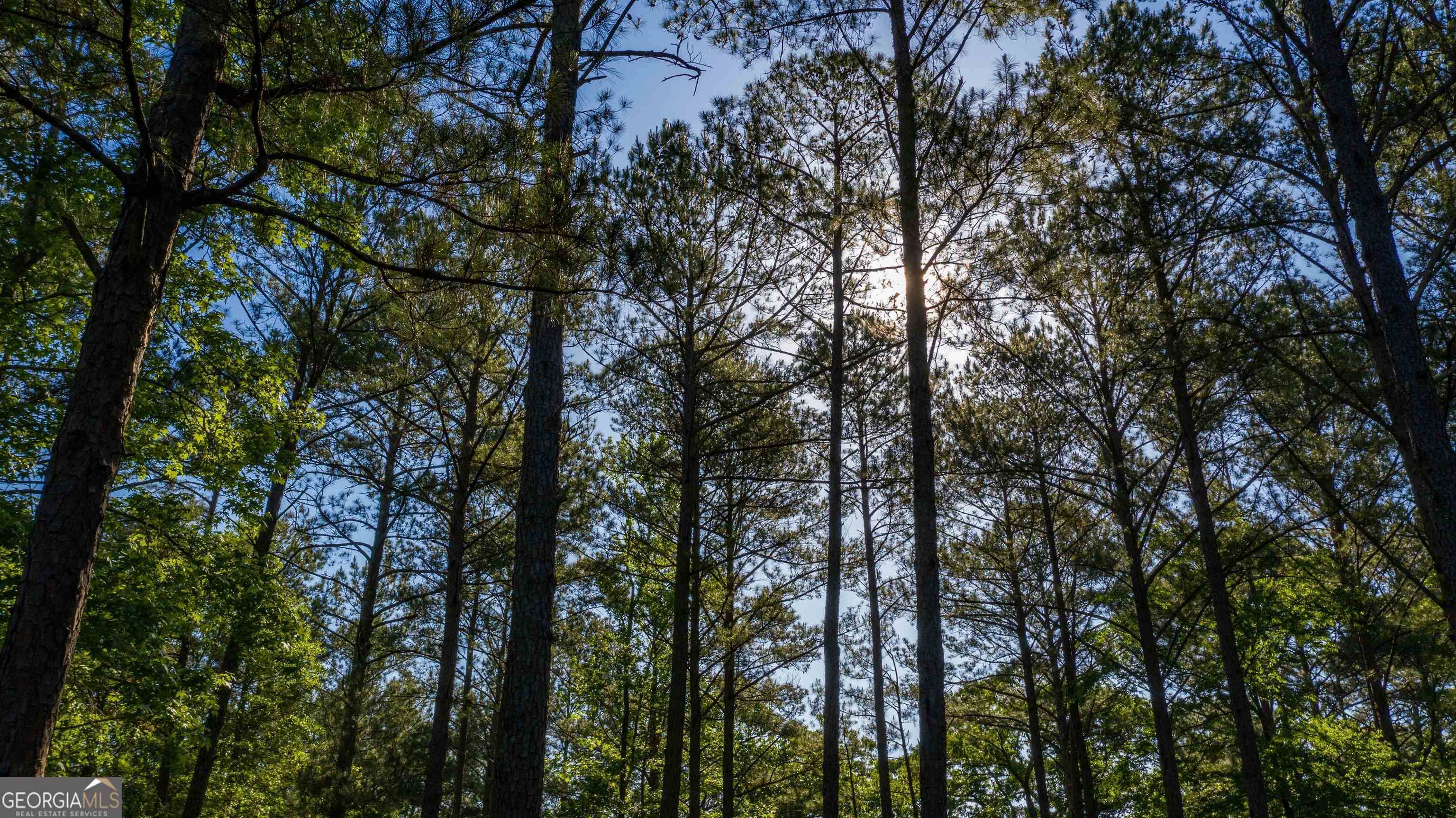 0 Morgan Mill RD #LOT 5, Senoia, GA 30276