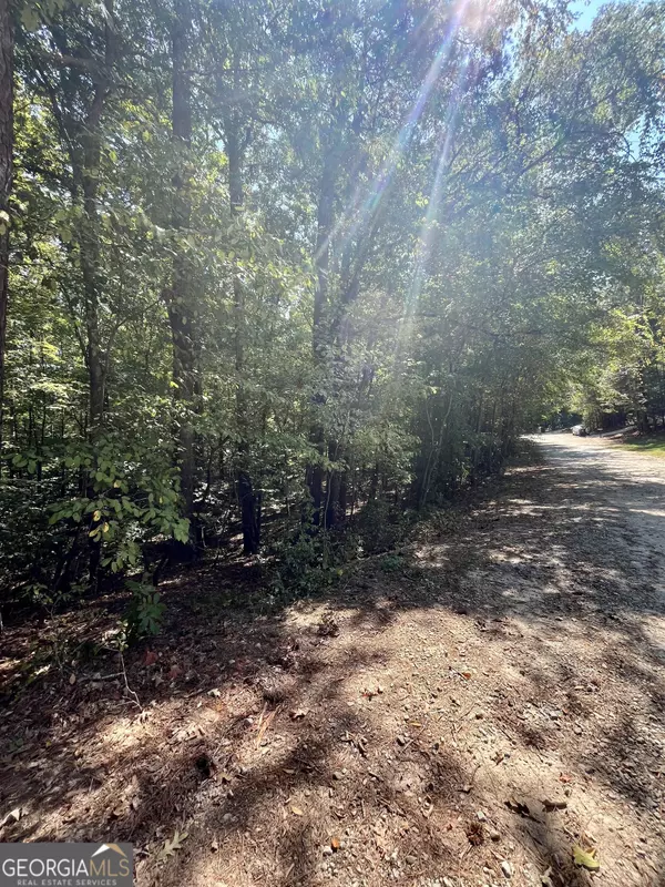 Monticello, GA 31064,0 Magpie CT #LOT 194