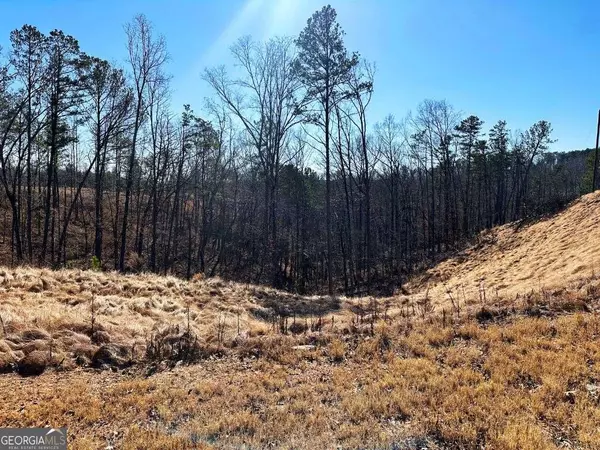 Talking Rock, GA 30175,LOT 244 Spear Point DR