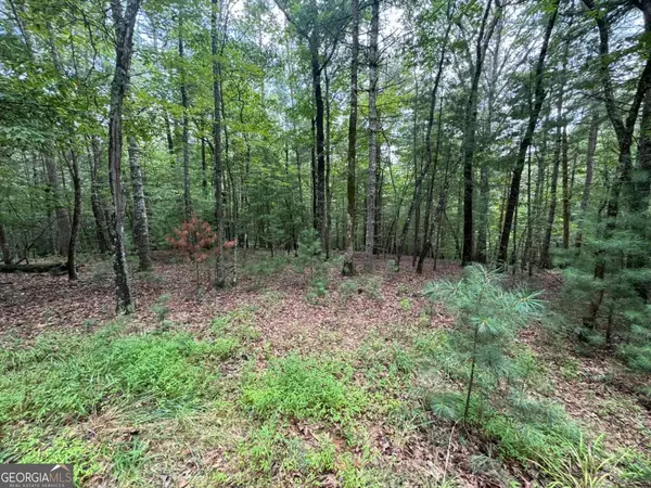 Blue Ridge, GA 30513,2.06 AC River Ridge LN