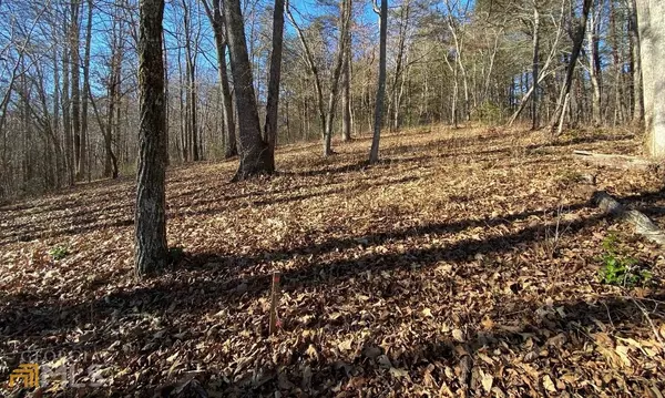 Blairsville, GA 30512,LOT 87 Owen Glen