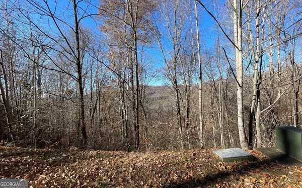 LOT 36M Mountain Harbour, Hayesville, NC 28904