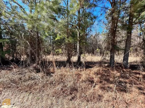 Mansfield, GA 30055,0 Barnes Mountain RD #LOT 56