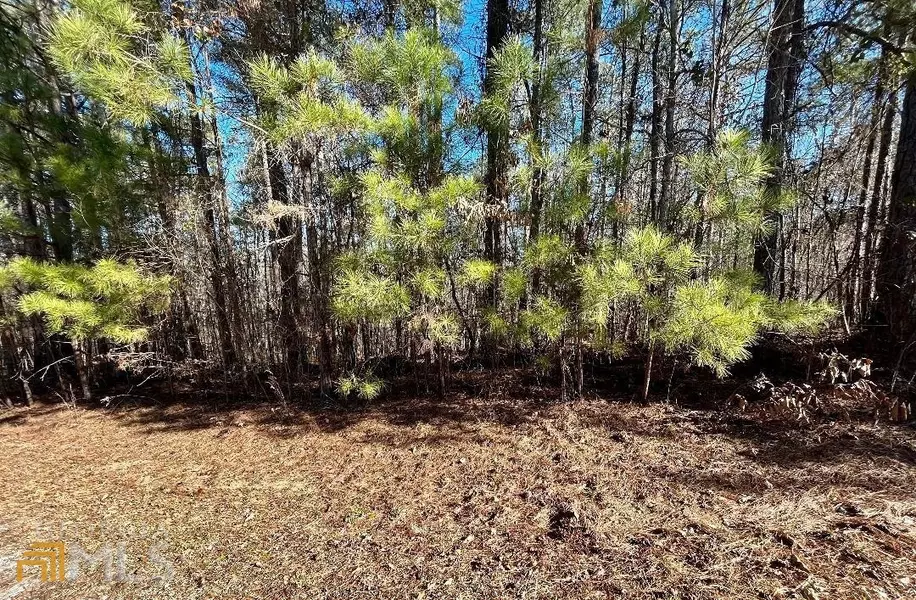 0 Prairie Chicken CT #LOT 22, Monticello, GA 31064