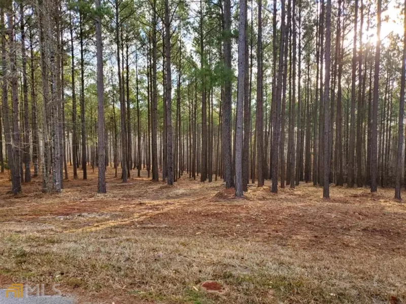 LOT 43 Shelter Cove Rd #LOT 43, Lincolnton, GA 30817