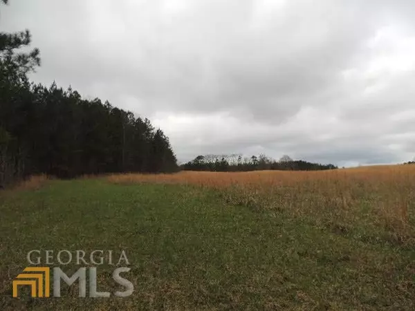 Greenville, GA 30222,118.98 AC Wilbur Keith RD