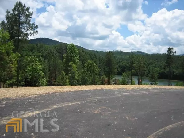 Blairsville, GA 30512,LT101 Northshore