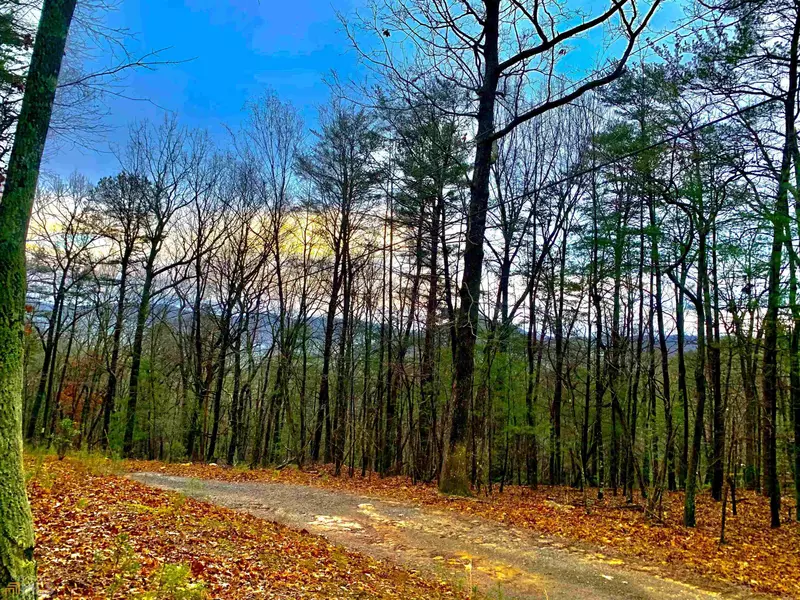 6.38 ACRES Old Parker Terrace, Ellijay, GA 30536