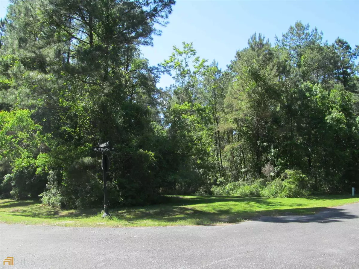 Woodbine, GA 31569,LOT 51 Salty Marsh WAY #51