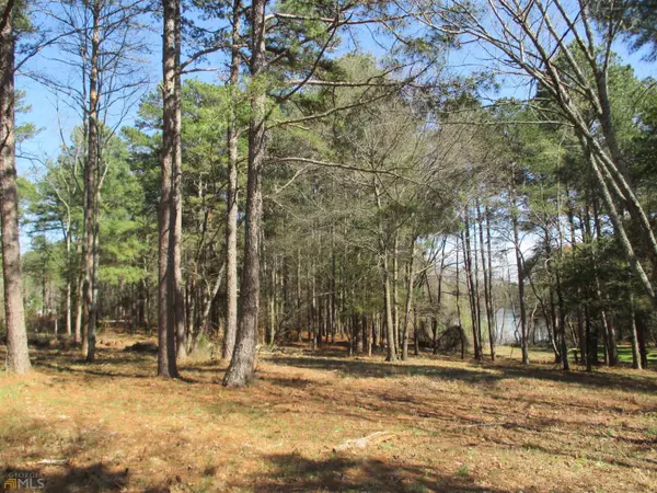 Hartwell, GA 30643,0 Yacht Club RD #LOT 16