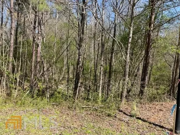 Newnan, GA 30263,LOT 17H2 Arbor Springs Pkwy