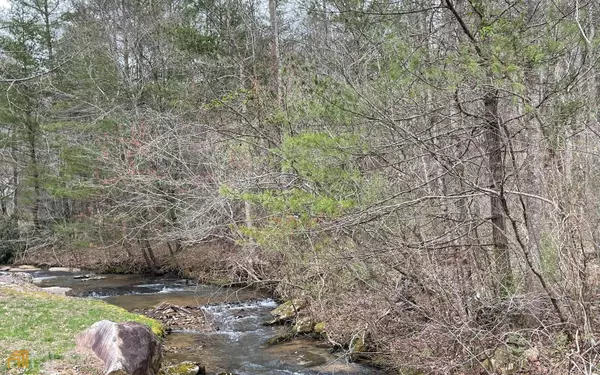 Blairsville, GA 30512,9.36 AC Highway 515