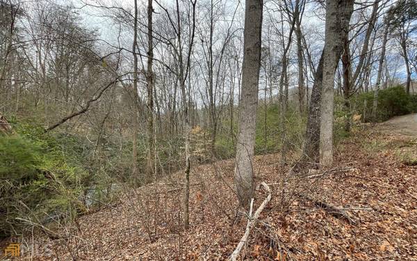 Blairsville, GA 30512,9.36 AC Highway 515