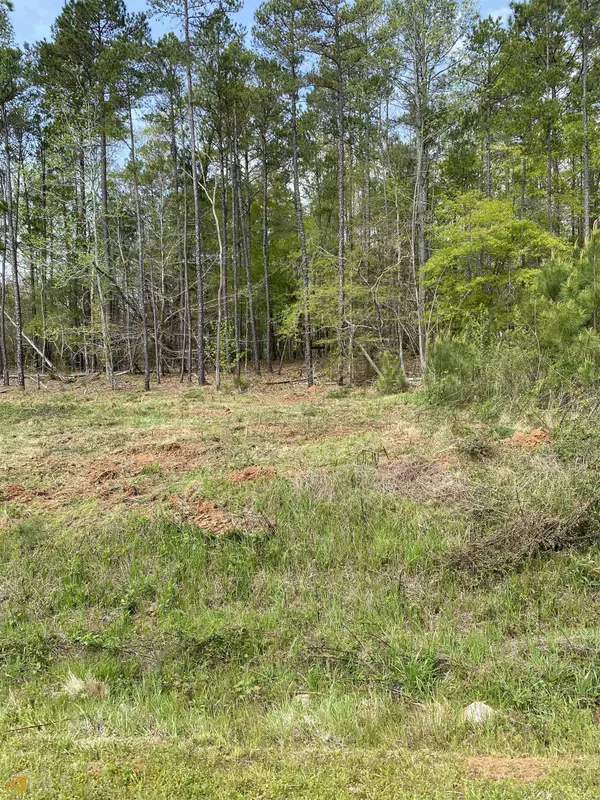 Carlton, GA 30627,LOT 1 River Bend DR #LOT 1