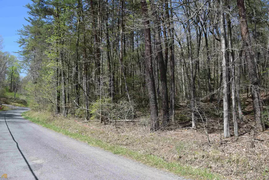 4.38 AC Tickanetley Road, Ellijay, GA 30536