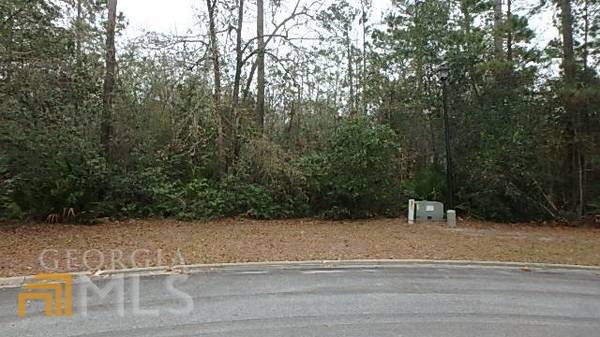 V/L 82 Heron Point LN, Woodbine, GA 31569