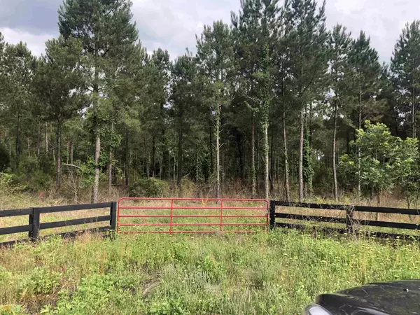 Dexter, GA 31019,0 Dewey Thomas Rd Lot 12