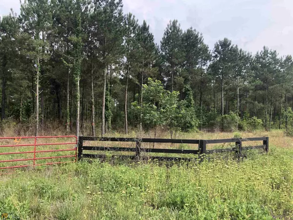 Dexter, GA 31019,0 Dewey Thomas Rd Lot 12