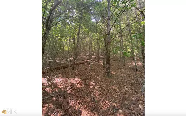 Blairsville, GA 30512,LOT 10 Pinnacle Pointe