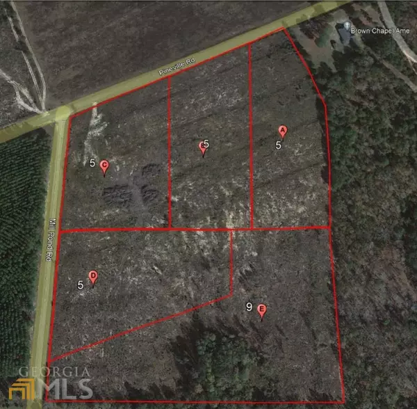 Buena Vista, GA 31803,0 MILL POND Rd Tract D