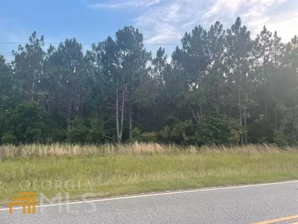 Statesboro, GA 30461,0 Woodland TRL