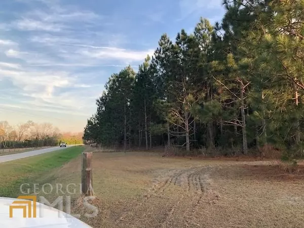 Statesboro, GA 30461,0 Woodland TRL