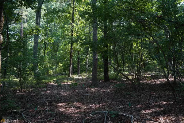 Jasper, GA 30143,2.51 ACRES Mulberry CIR