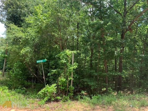 LOT 117 Old Ferry Rd, Sparta, GA 31087