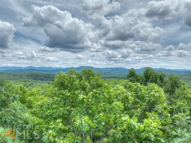 16 AC Trail Tree RDG, Morganton, GA 30560