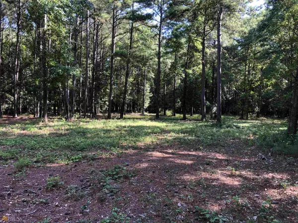 14.79 AC Old Chipley RD, Pine Mountain, GA 31822