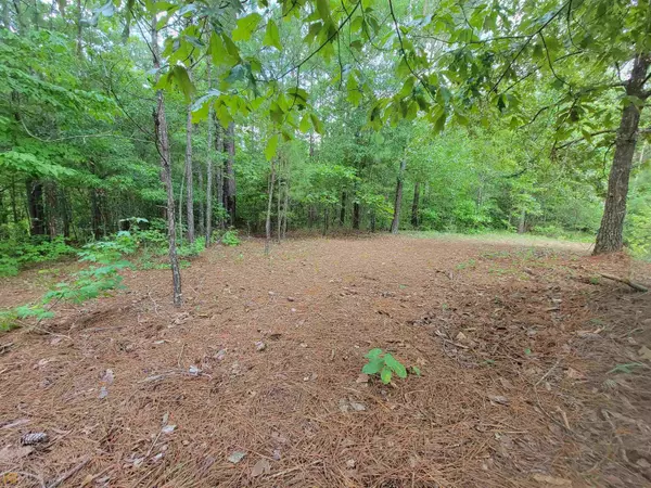 Sparta, GA 31087,1 ACRE/ LOT 167 James Way DR