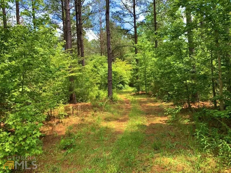 0 Seven Islands RD, Monticello, GA 31064