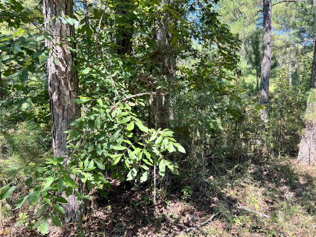 Buckhead, GA 30625,LOT 20 Hickory LN