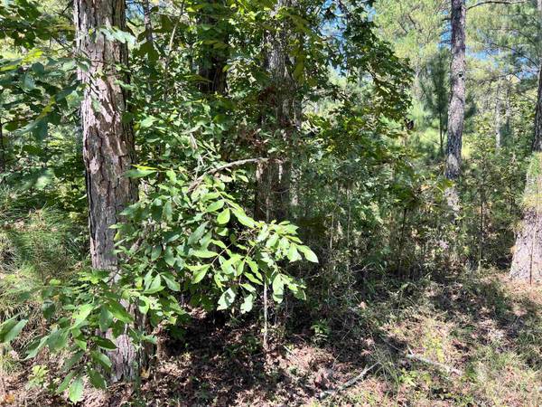 LOT 20 Hickory LN, Buckhead, GA 30625