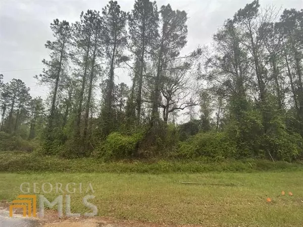 LOT 13 Hawkeye CT, Oglethorpe, GA 31068