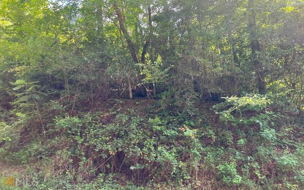 LOT 75 Fires Creek CV, Hayesville, NC 28904