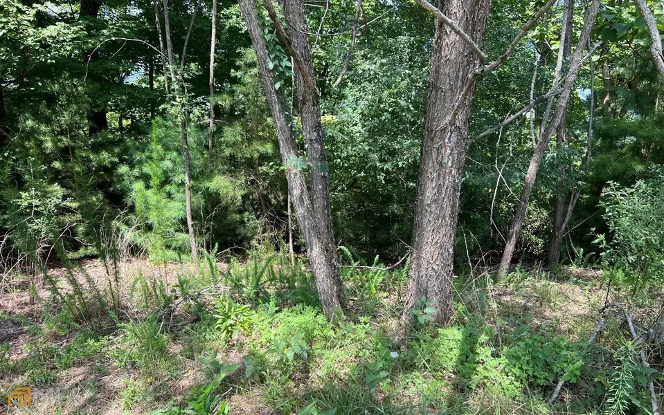 LOT 59 Fires Creek CV, Hayesville, NC 28904