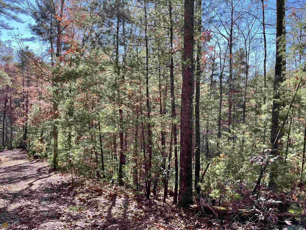 Blue Ridge, GA 30513,1.95 AC Adelaide TRL