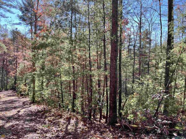 1.95 AC Adelaide TRL, Blue Ridge, GA 30513