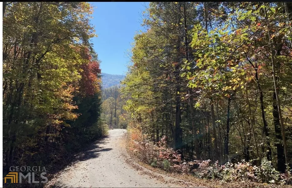 LOT 29 Zinc AVE, Blairsville, GA 30512