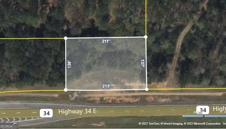 Sharpsburg, GA 30277,4398 Hwy 34e #LOT 101