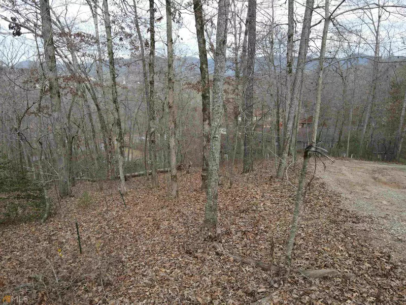 LOT 27 Wellborn Mountain Estates, Blairsville, GA 30512