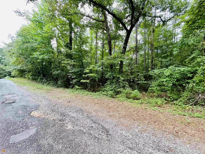 0 Swallow CT #LOT 32, Monticello, GA 31064