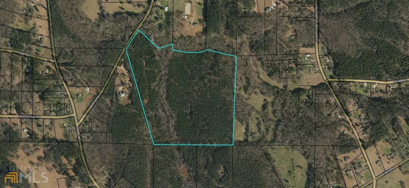 72.7 ACRES Martin RD, Griffin, GA 30223