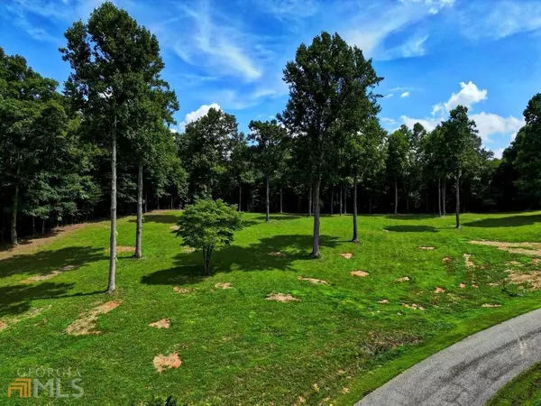 Blairsville, GA 30512,LOT 21 Pleasant Meadows