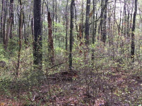 LOT# B11 Pinehurst DR #1, Stockbridge, GA 30281