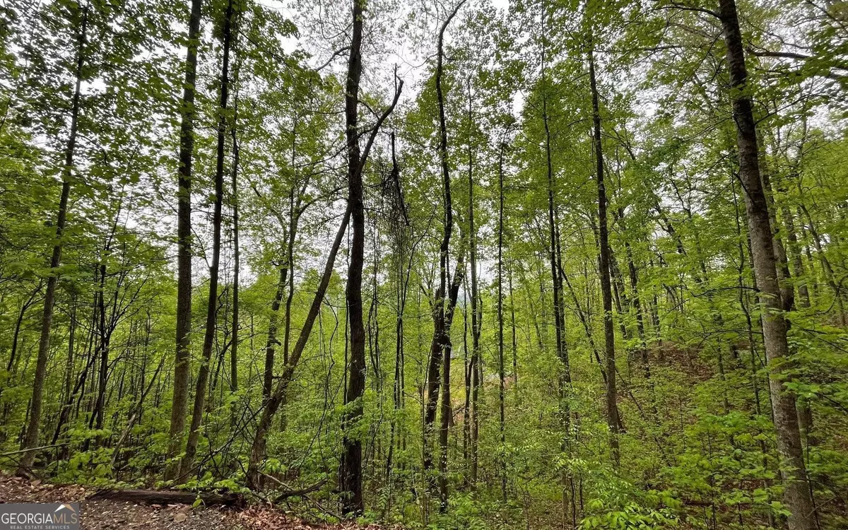 Hayesville, NC 28904,LOT 59 Possum Hollow