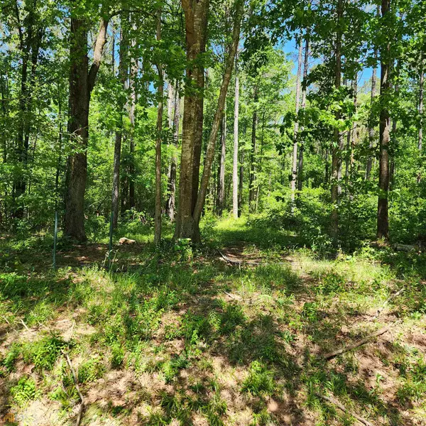 Shady Dale, GA 31085,LOT 71 Rock Eagle RD