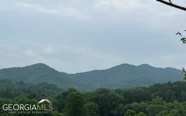 Hayesville, NC 28904,LOTS 8 & 8A Pauls Meadow